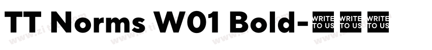 TT Norms W01 Bold字体转换 TT Norms W01 Bold字体转换